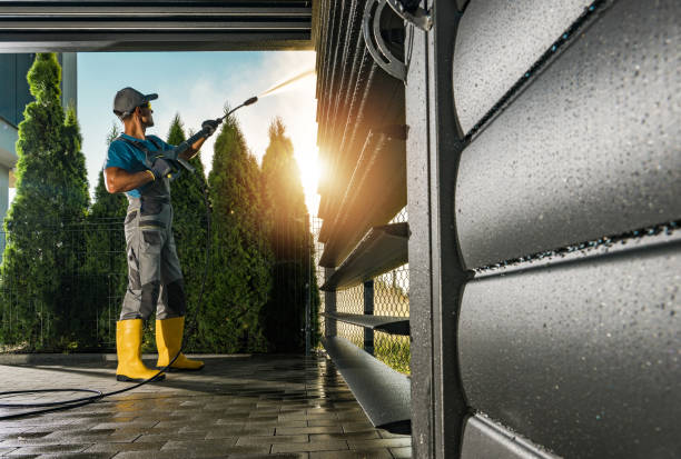Best Roof Pressure Washing  in Napavine, WA
