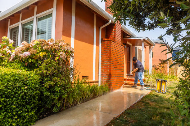 Best Pressure Washing Patio  in Napavine, WA