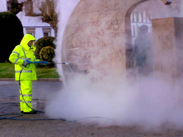 Best House Pressure Washing  in Napavine, WA